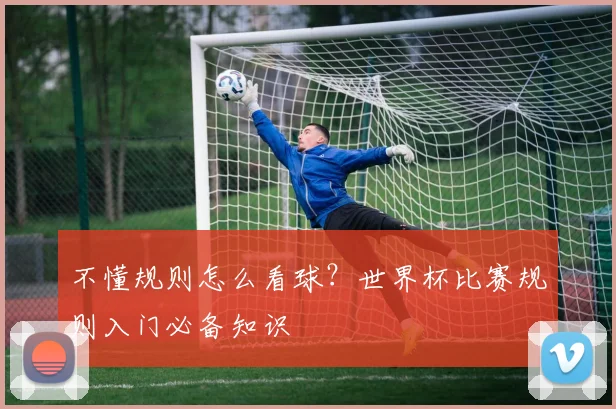 不懂规则怎么看球？世界杯比赛规则入门必备知识
