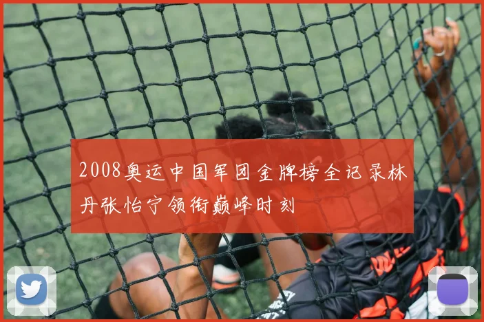 2008奥运中国军团金牌榜全记录林丹张怡宁领衔巅峰时刻