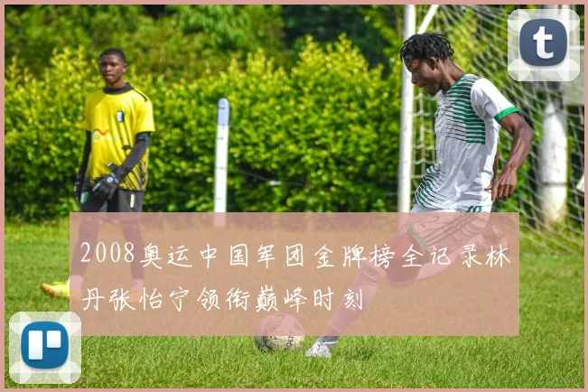 2008奥运中国军团金牌榜全记录林丹张怡宁领衔巅峰时刻
