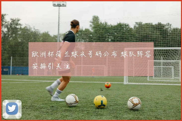 欧洲杯荷兰球衣号码公布 球队阵容安排引关注