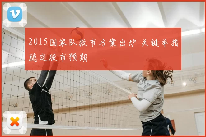 2015国家队救市方案出炉 关键举措稳定股市预期